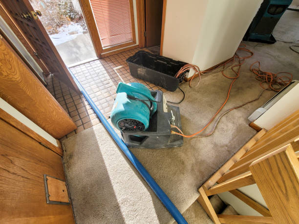 Trusted Pinetop Country Clu, AZ Water damage restoration Experts