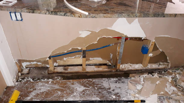 Best Water damage contractors near me  in Pinetop Country Clu, AZ