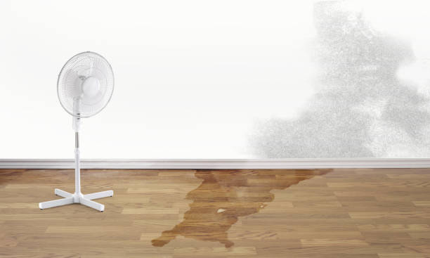 Best Commercial water damage restoration  in Pinetop Country Clu, AZ