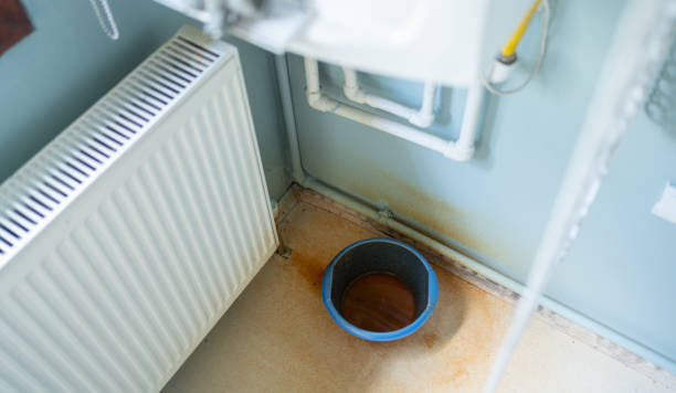 Best Water damage cleanup near me  in Pinetop Country Clu, AZ