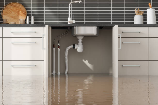 Best Professional water damage repair  in Pinetop Country Clu, AZ