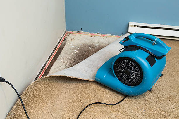 Best Water damage restoration near me  in Pinetop Country Clu, AZ